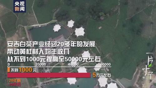 一片树叶爆料视频大全,视频大全带你探索自然奥秘 第3张 一片树叶爆料视频大全,视频大全带你探索自然奥秘 第3张